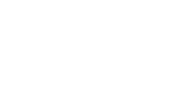 Justicia Vital